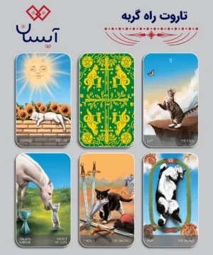 تاروت راه گربه